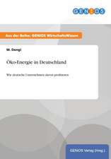 Öko-Energie in Deutschland