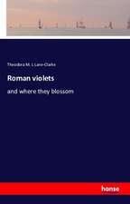 Roman violets