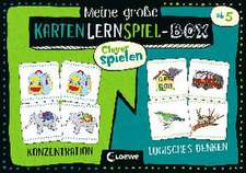 Clever spielen - Meine große KartenLernSpiel-Box - Konzentration/Logisches Denken