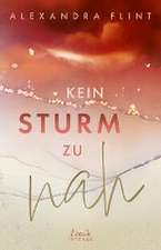 Kein Sturm zu nah (Tales of Sylt, Band 2)