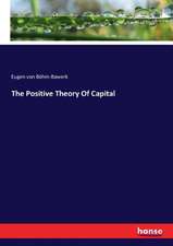 The Positive Theory Of Capital