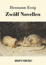 Zwölf Novellen