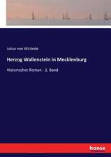 Herzog Wallenstein in Mecklenburg