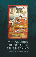 Mahamudra - The Ocean of True Meaning