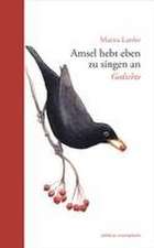 Amsel hebt eben zu singen an