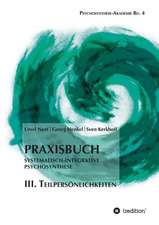 Praxisbuch Systematisch-Integrative Psychosynthese: III. Teilpersönlichkeiten