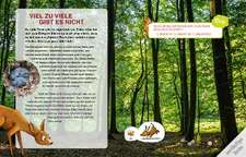 Lesen + Stickern. Entdecke die Tiere im Wald