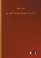 Beautiful Shells of New Zealand