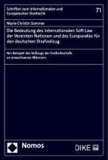 Die Bedeutung des internationalen Soft Law der Vereinten Nationen und des Europarates für den deutschen Strafvollzug