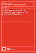 Zivilprozessuale Klärung von Grundsatzfragen im deutschen und französischen Recht