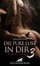 Die pure Lust in dir 3 | Erotische Geschichten