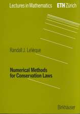 Numerical Methods for Conservation Laws