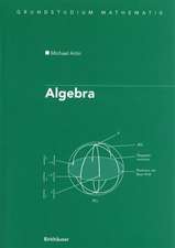 Algebra: Aus dem Englischen übersetzt von Annette A’Campo