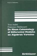 De Rham Cohomology of Differential Modules on Algebraic Varieties