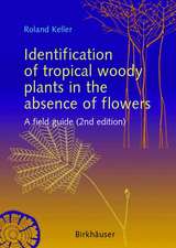 Identification of tropical woody plants in the absence of flowers