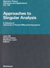 Approaches to Singular Analysis: A Volume of Advances in Partial Differential Equations