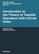 Introduction to the Theory of Toeplitz Operators with Infinite Index