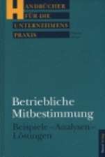 Betriebliche Mitbestimmung