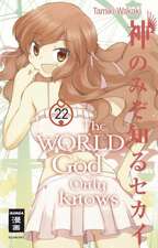 The World God Only Knows 22