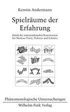 Spielräume der Erfahrung