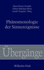 Phänomenologie der Sinnereignisse