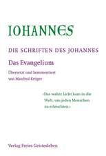 Die Schriften des Johannes 3 Bände