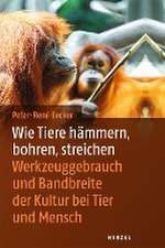 Wie Tiere hämmern, bohren, streichen