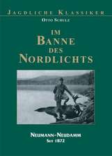 Im Banne des Nordlichts