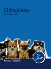 Chihuahuas