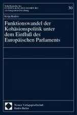 Funktionswandel der Kohäsionspolitik unter dem Einfluß des Europäischen Parlaments