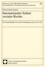 Internationaler Schutz sozialer Rechte