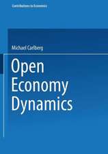 Open Economy Dynamics