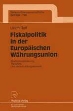 Fiskalpolitik in der Europäischen Währungsunion: Marktdisziplinierung, Transfers und Verschuldungsanreize