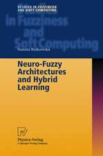 Neuro-Fuzzy Architectures and Hybrid Learning