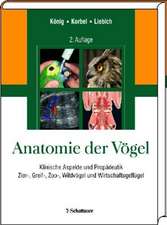 Anatomie der Vögel