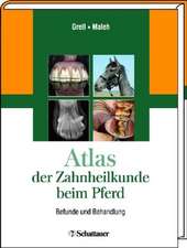 Atlas der Zahnheilkunde beim Pferd