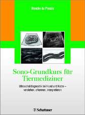 Sono-Grundkurs für Tiermediziner