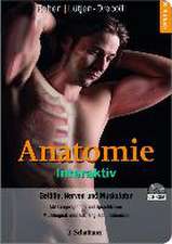 Anatomie Interaktiv