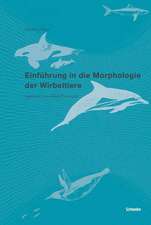 Einführung in die Morphologie der Wirbeltiere