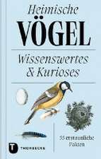 Heimische Vögel