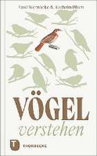 Vögel verstehen