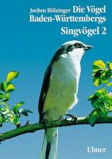 Singvögel 2