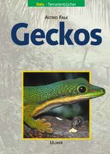 Geckos