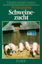 Schweinezucht