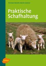 Praktische Schafhaltung