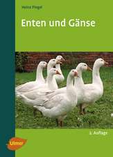 Enten und Gänse