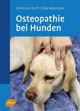 Osteopathie beim Hund