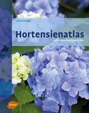 Hortensienatlas