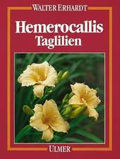 Erhardt, W: Hemerocallis