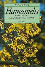 Hamamelis und andere Zaubernußgewächse